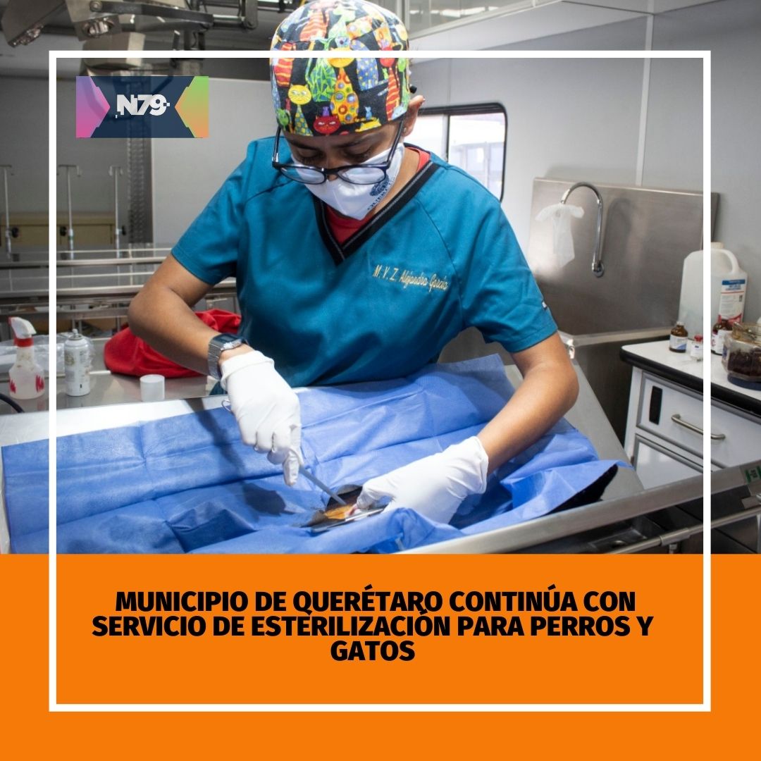 Municipio de Querétaro continúa con servicio de esterilización para perros y gatos