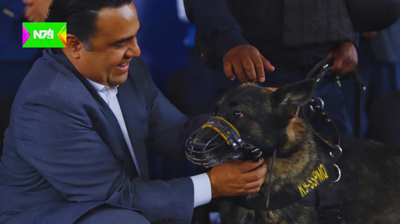 Municipio de Querétaro premia a los héroes de cuatro patas de Seguridad Pública