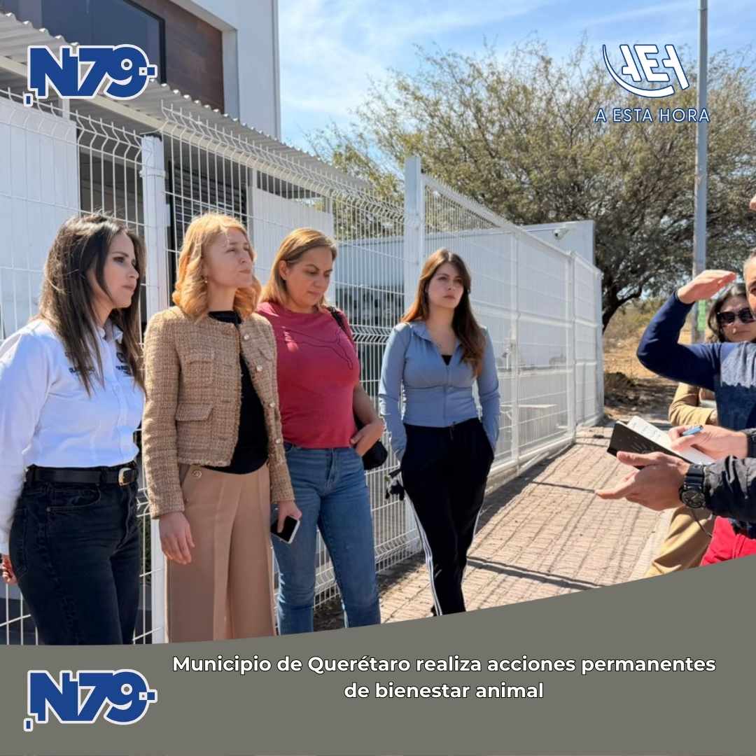 Municipio de Querétaro realiza acciones permanentes de bienestar animal