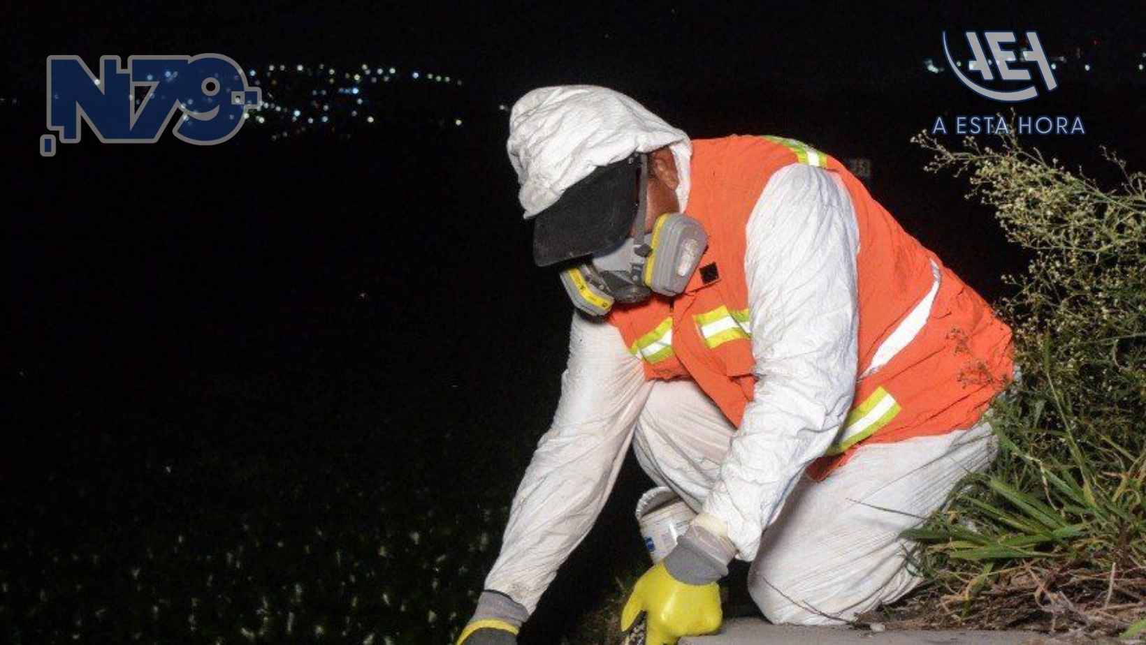 Operativo contra mosquitos en el Querétaro 2000
