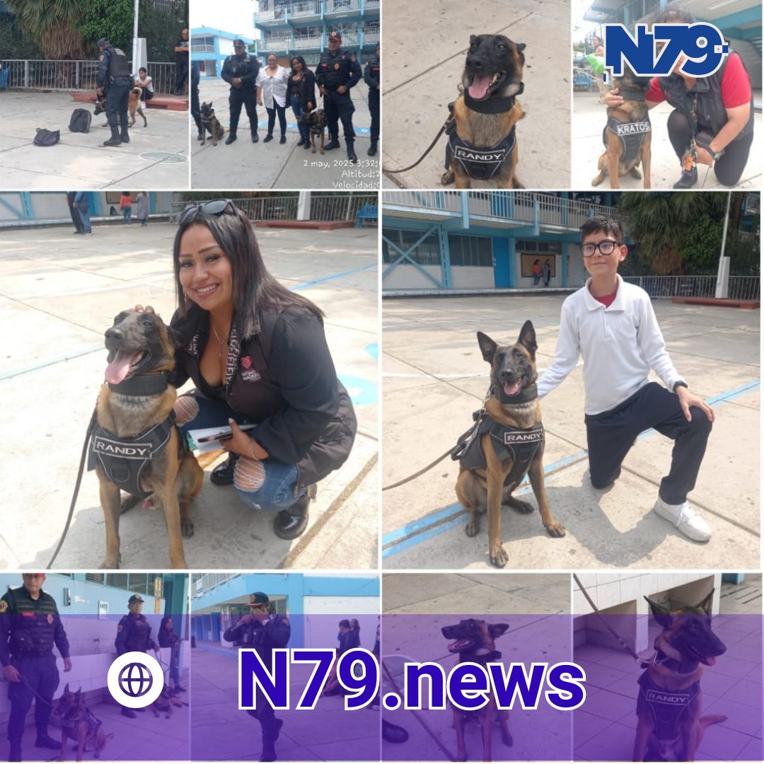 exhibición canina