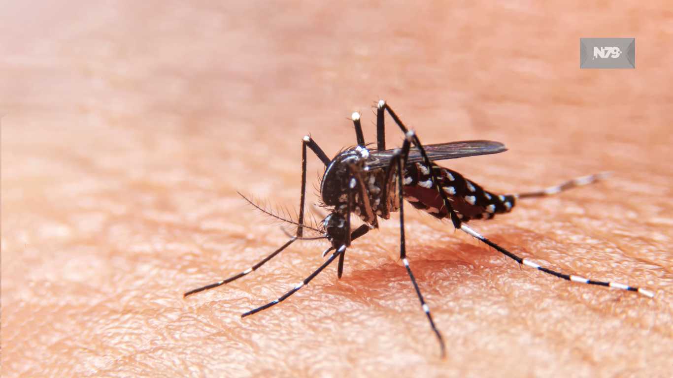 Para el Primer Día Nacional de Lucha contra el Dengue se impartirán capacitaciones