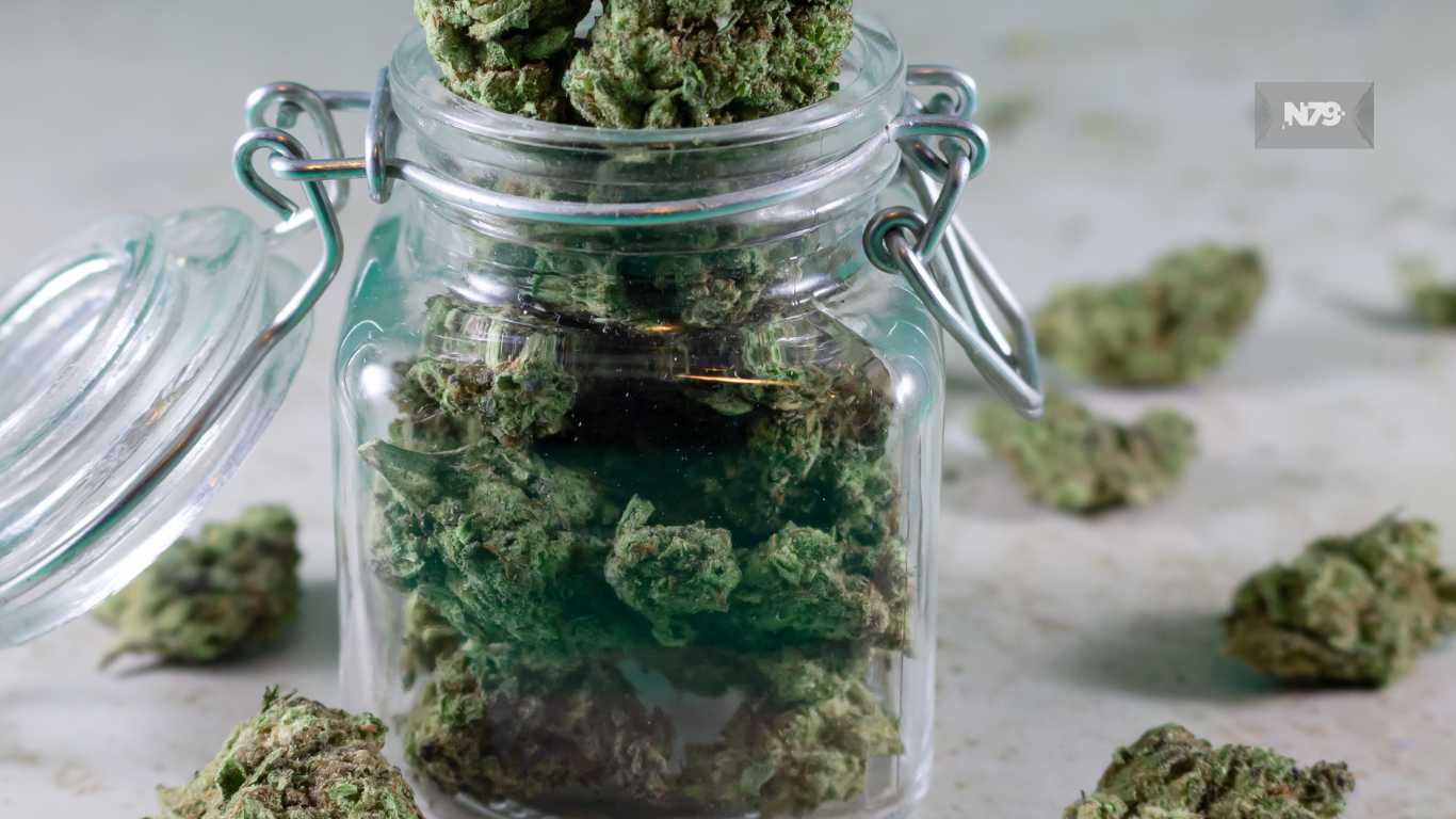 Propuesta republicana para legalizar la marihuana medicinal fue descartada