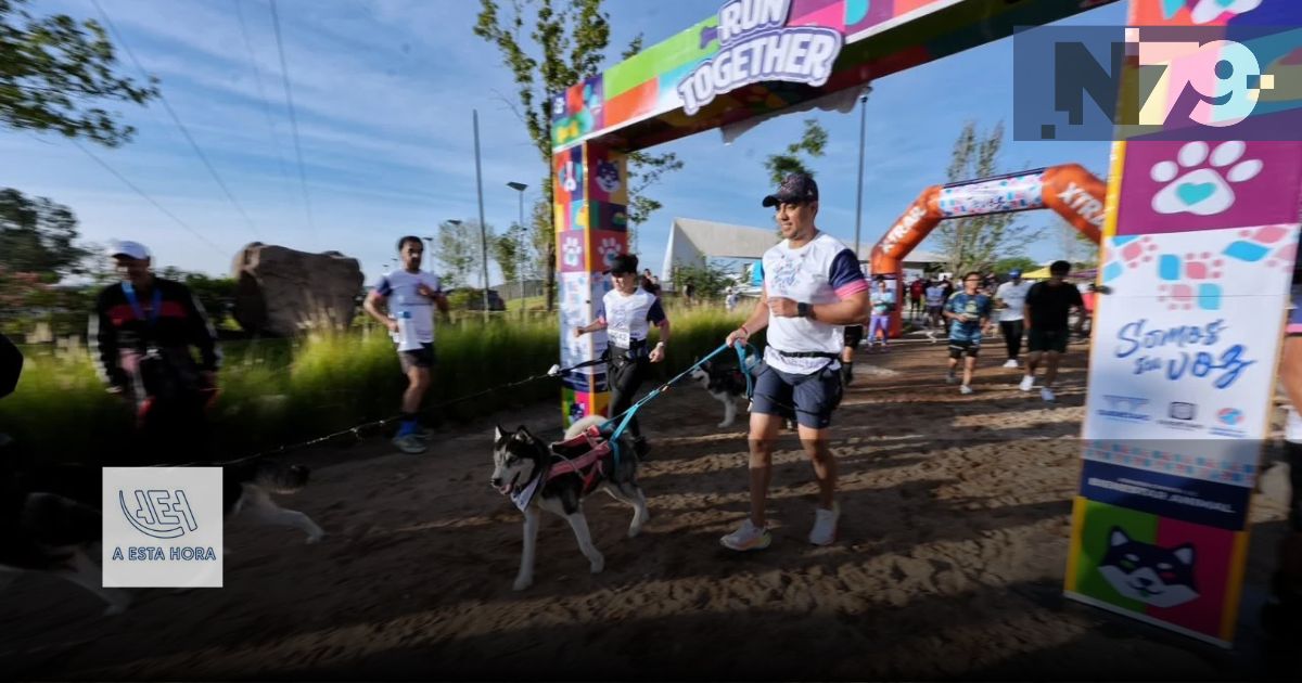 Querétaro entregará 500 tags para localizar mascotas