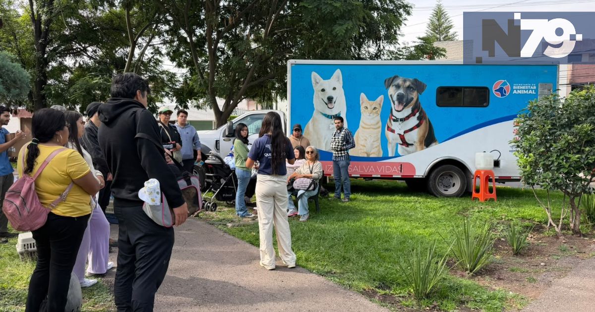 Querétaro suma 54 mil servicios de bienestar animal