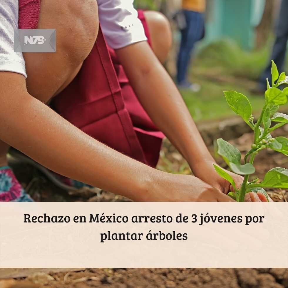 Rechazo en México arresto de 3 jóvenes por plantar árboles
