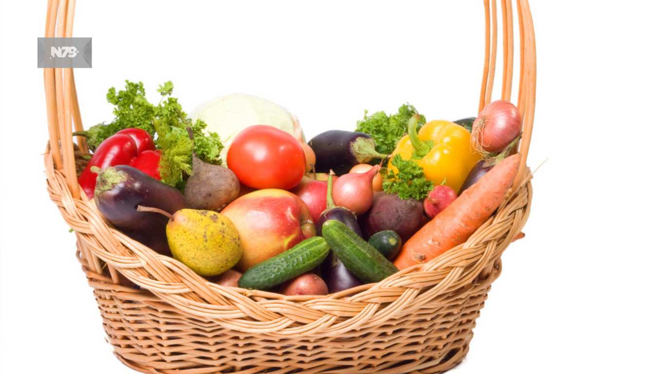 Registro de deudores alimentarios deberá operar en marzo de 2024, señala estudio del IBD
