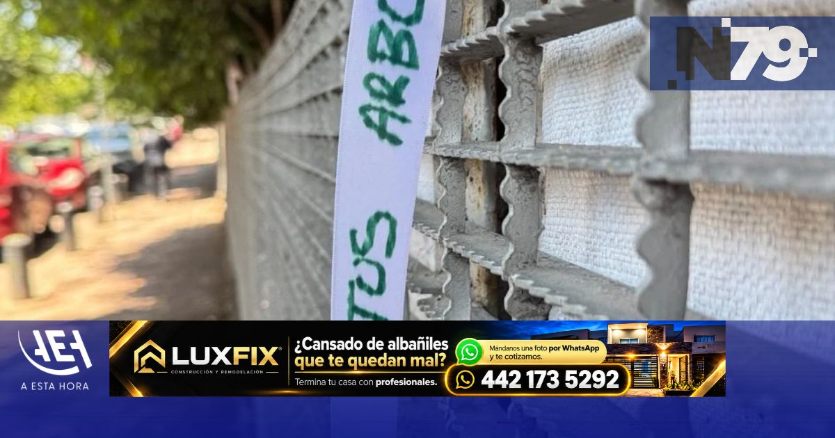 Reportan acuerdo para proteger arbolado de Telar Verde