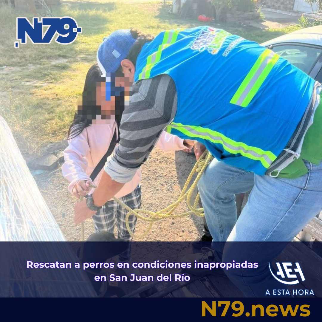 Rescatan a perros en condiciones inapropiadas en