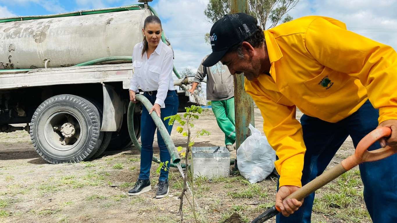 San Juan del Río se viste de verde con la jornada de reforestación impulsada por la diputada Marcia Solórzano Gallego