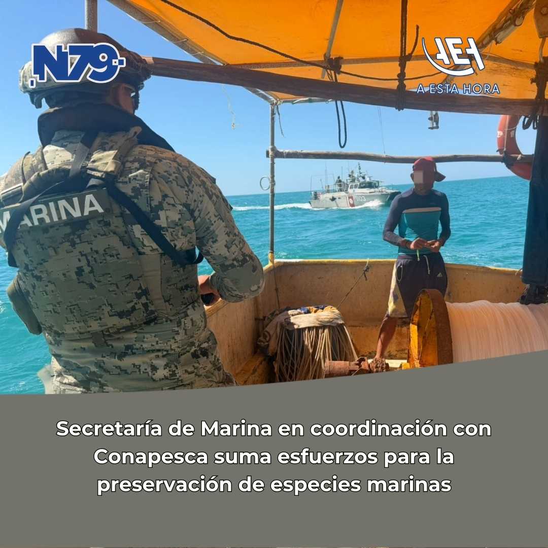 Secretaría de Marina en coordinación con Conapesca suma esfuerzos para la preservación de especies marinas