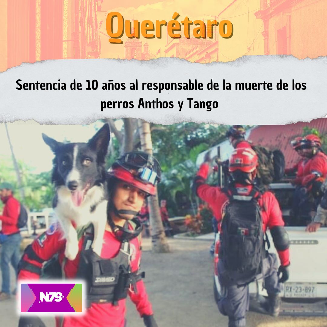 Sentencia de 10 años al responsable de la muerte de los perros Anthos y Tango