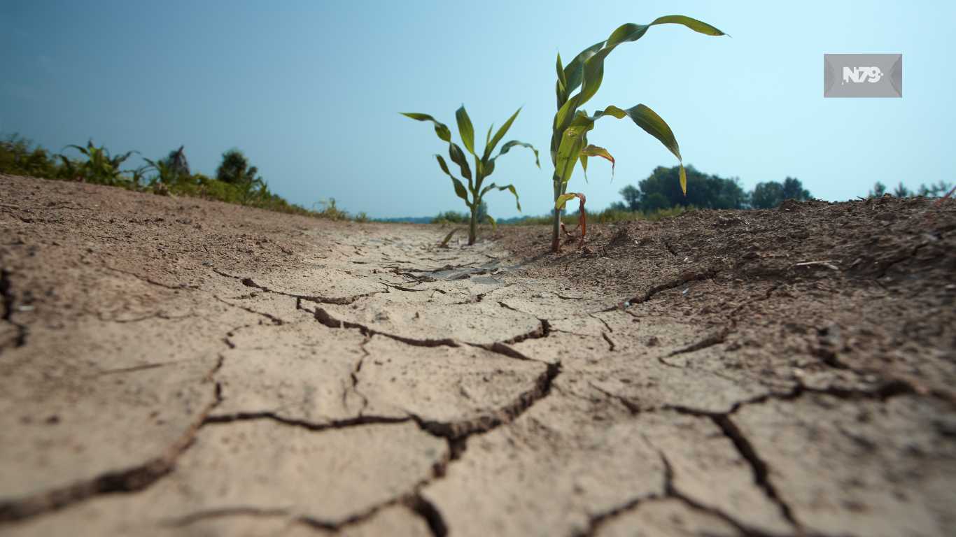 Sequía en México tiene consecuencias en el sector agropecuario