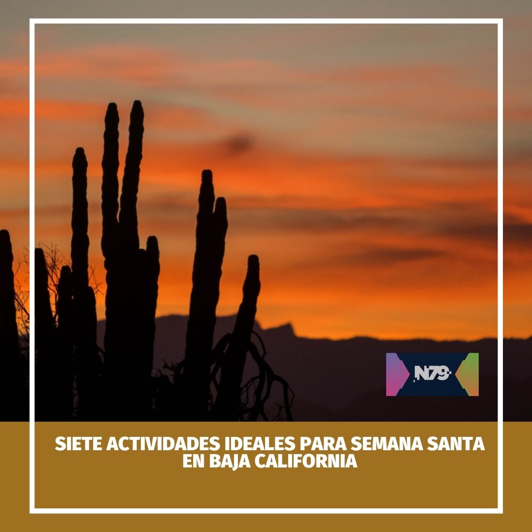 Siete actividades ideales para semana santa en Baja California