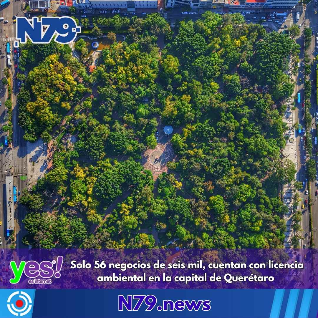 Solo 56 negocios de seis mil, cuentan con licencia ambiental en la capital de Querétaro