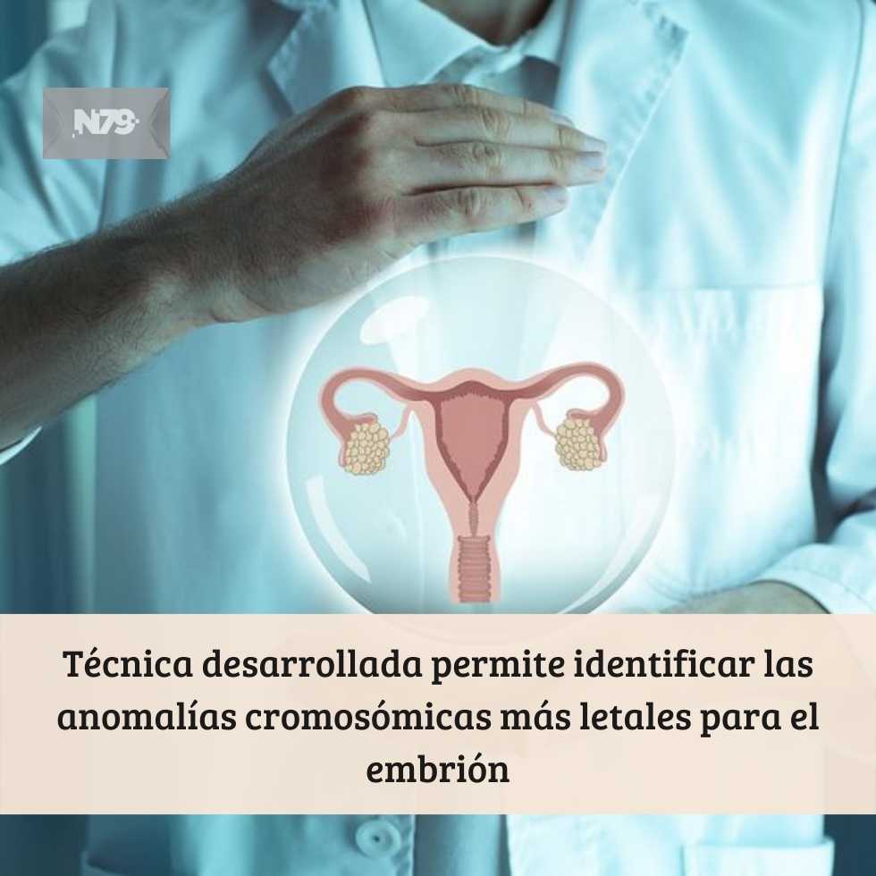 Técnica desarrollada permite identificar las anomalías cromosómicas más letales para el embrión