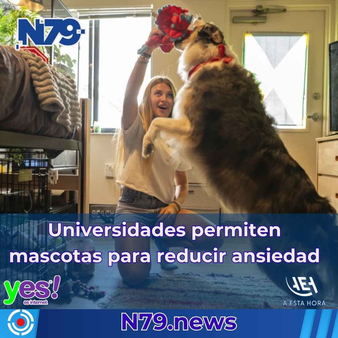 Universidades permiten mascotas para reducir ansiedad