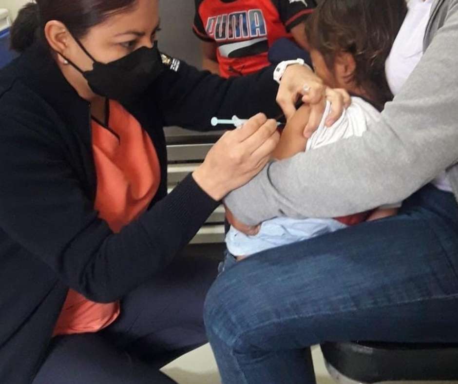 Vacunas contra influenza Querétaro cumple 77.5%