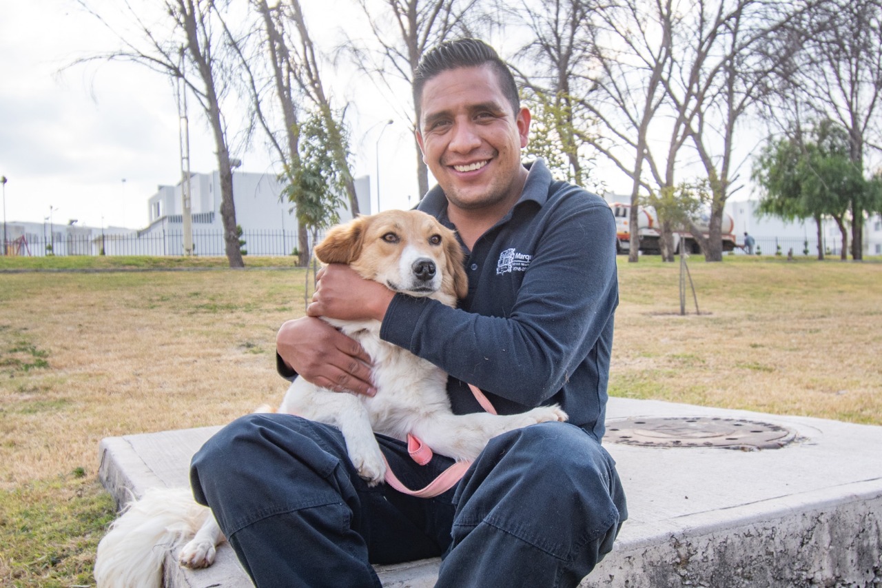CAAM de El Marqués iniciará programa de adiestramiento canino