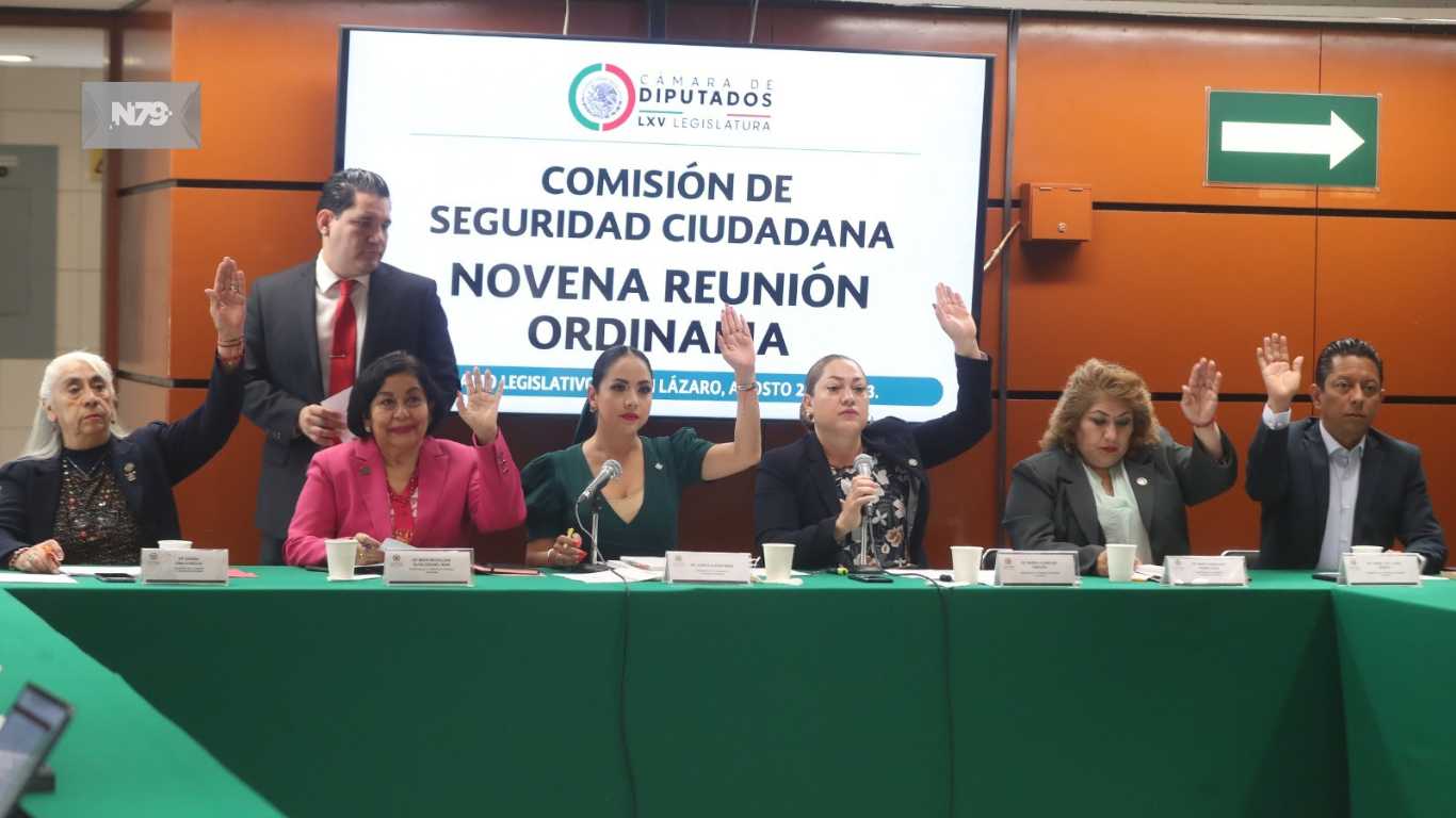 Aprueba Comisión reformas a las leyes de Seguridad Nacional y General del Sistema Nacional de Seguridad Pública