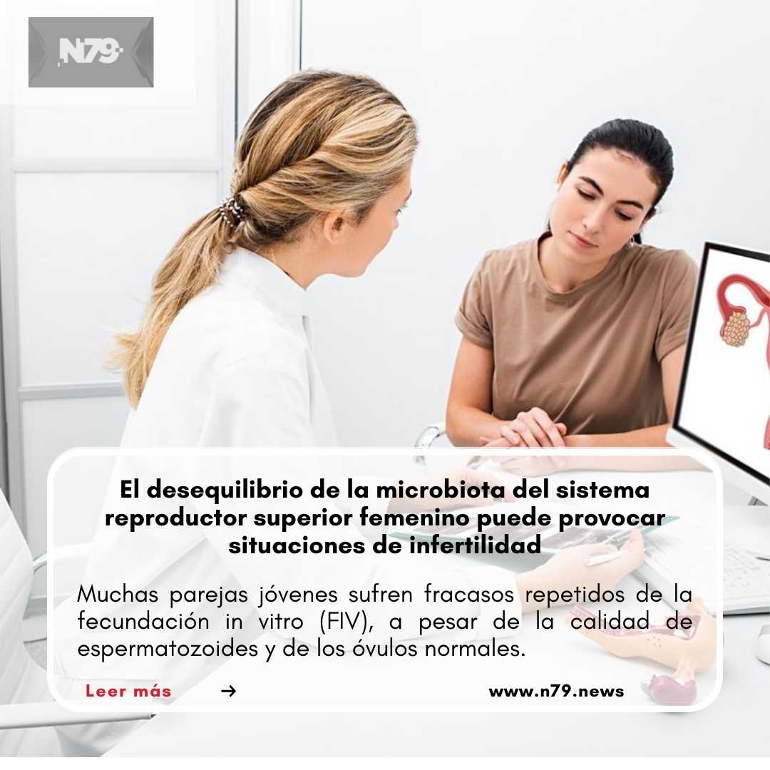 El desequilibrio de la microbiota del sistema reproductor superior femenino puede provocar situaciones de infertilidad