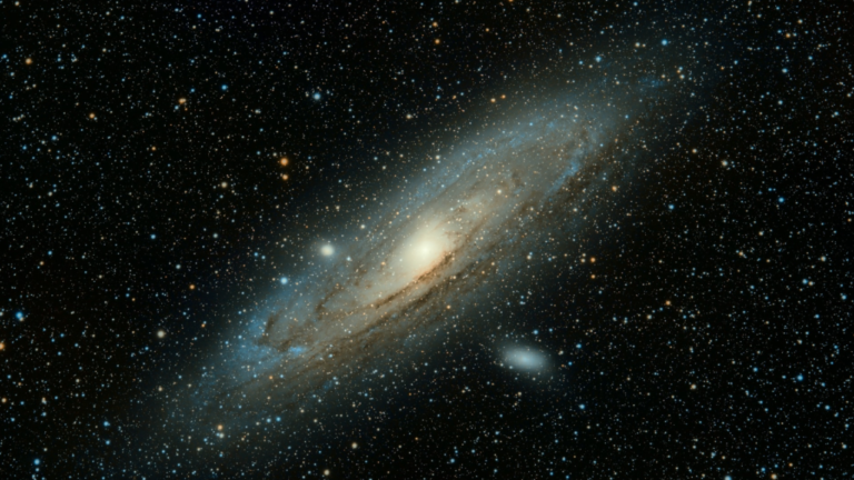 n79