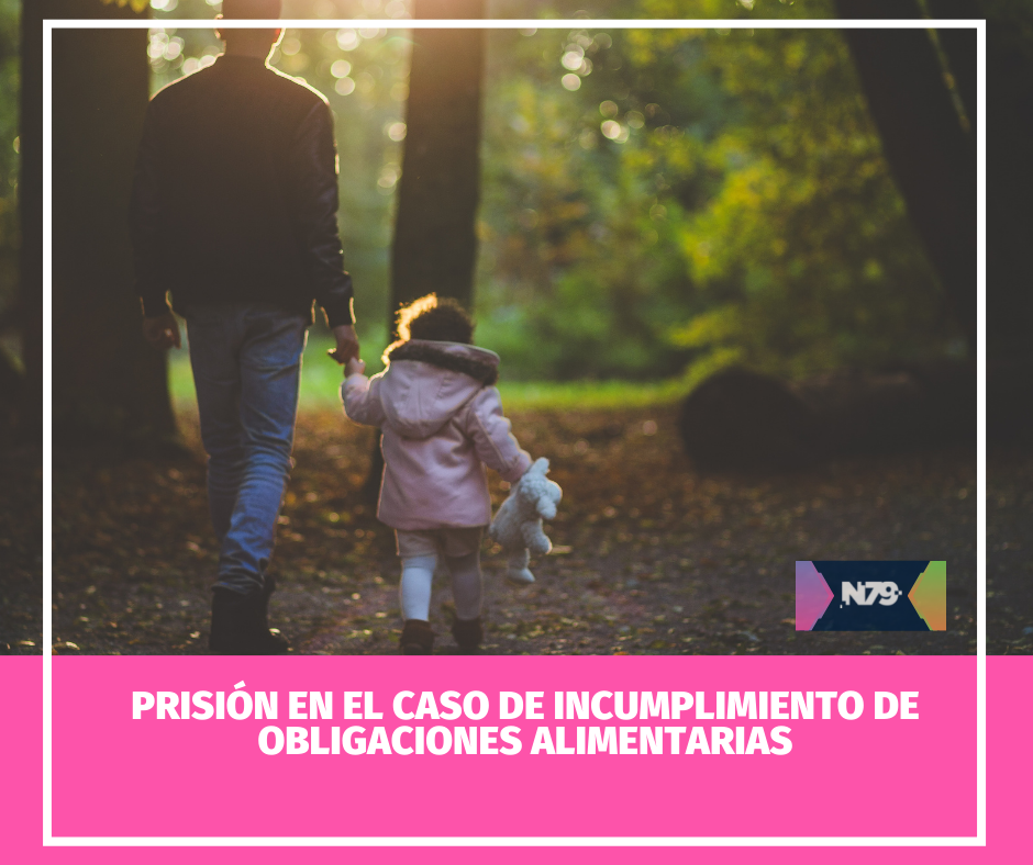 Prisión en el caso de incumplimiento de obligaciones alimentarias