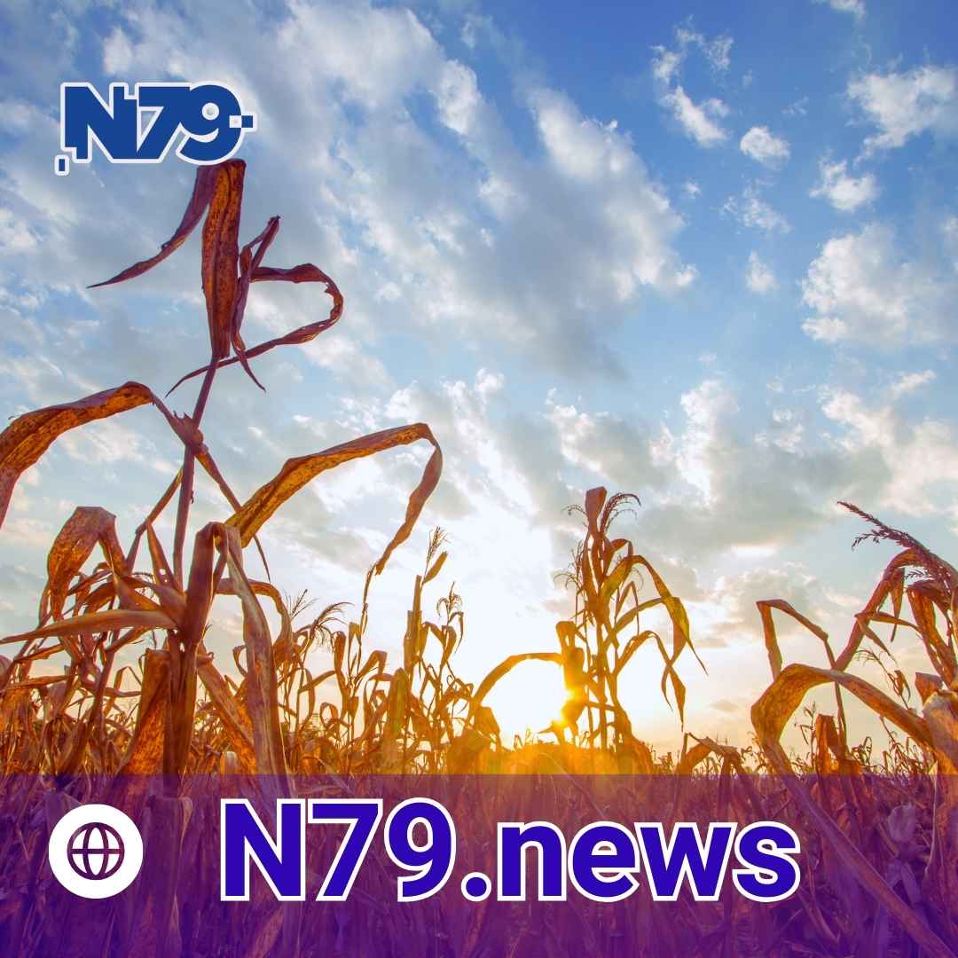 temperaturas extremas