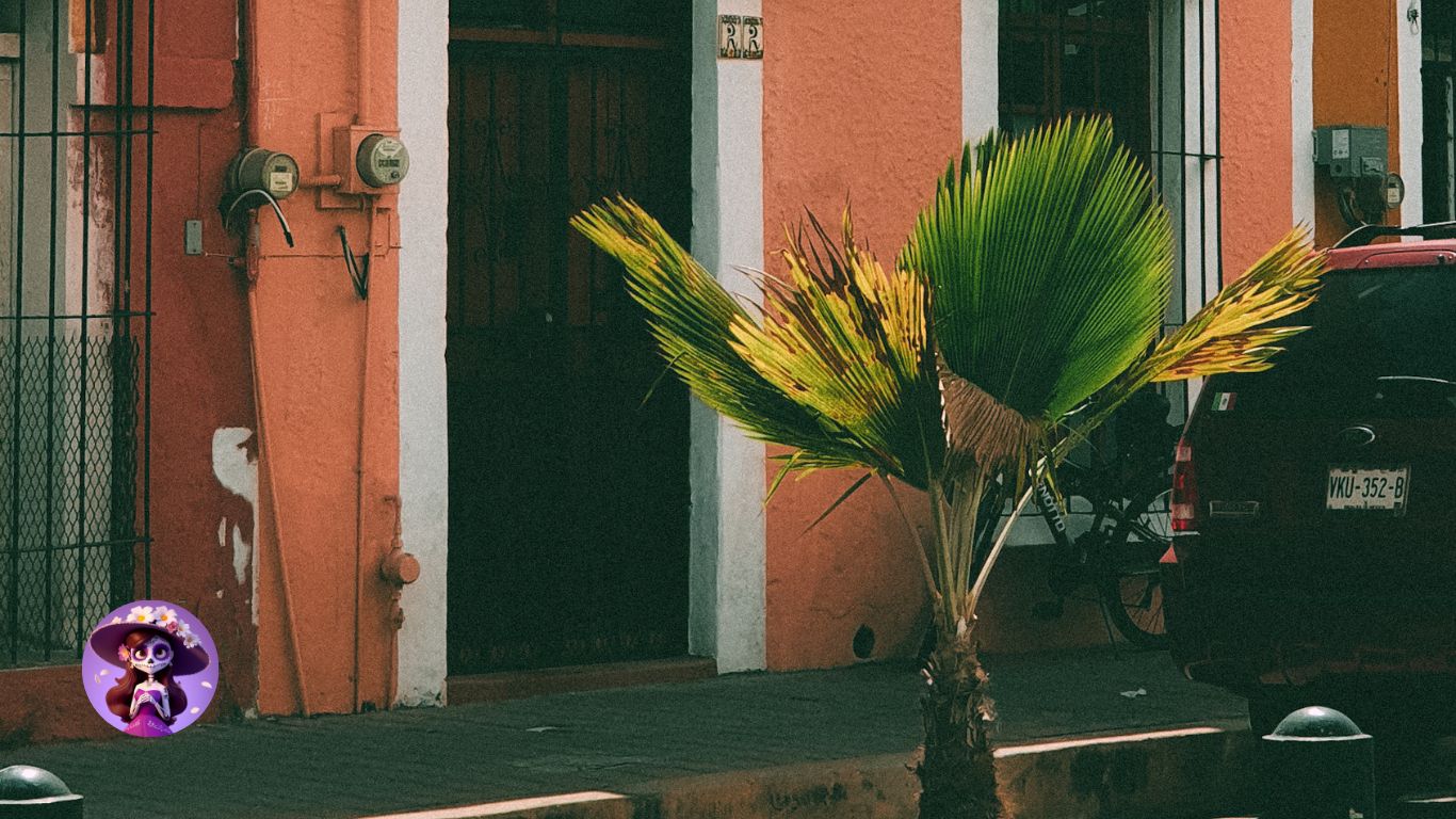 ¿Alquilar una Propiedad ¡Protege tu Inversión! Descubre Cómo