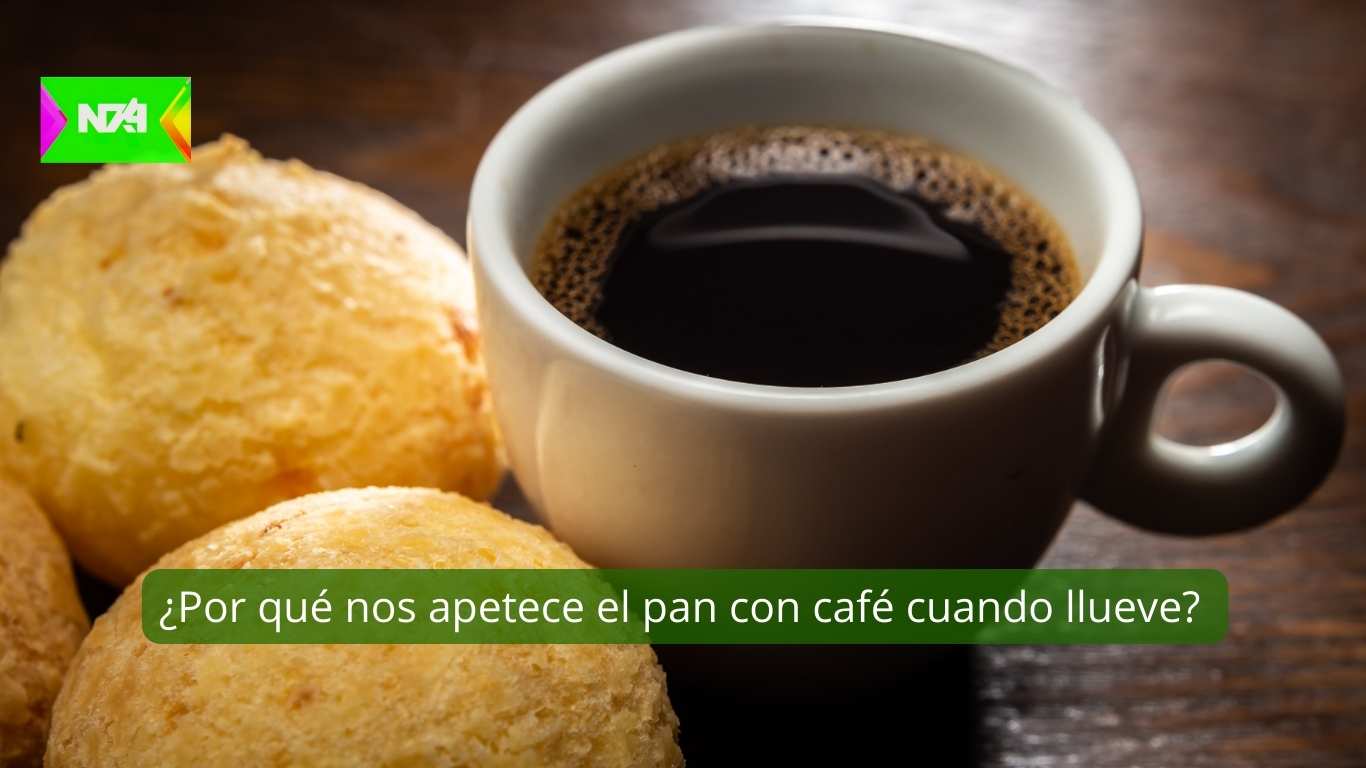 ¿Por qué nos apetece el pan con café cuando llueve