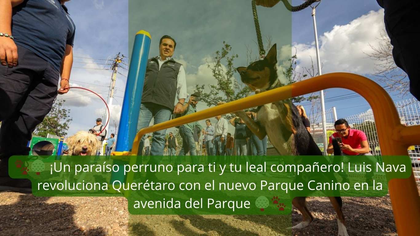 🐾🌳 ¡Un paraíso perruno para ti y tu leal compañero! Luis Nava revoluciona Querétaro con el nuevo Parque Canino en la avenida del Parque 🌳🐾